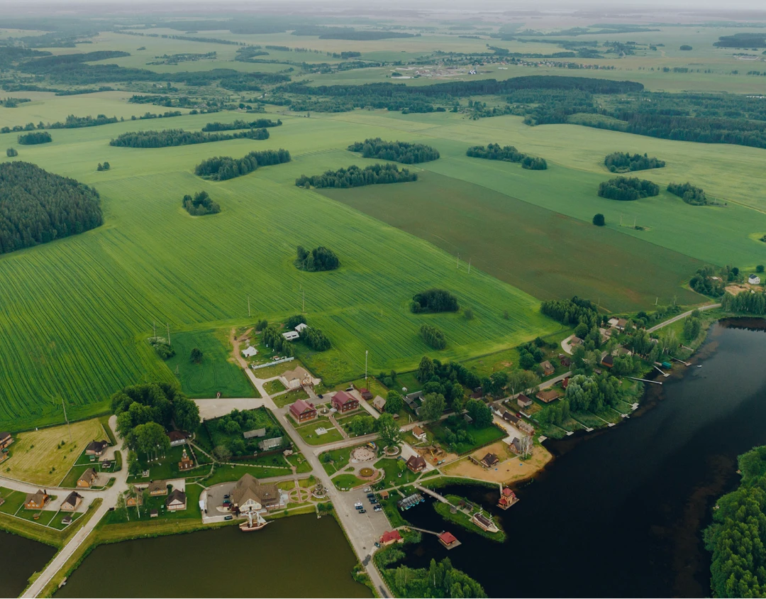 A Lithuanian Farmer Surveying its Competitiveness in the European Union